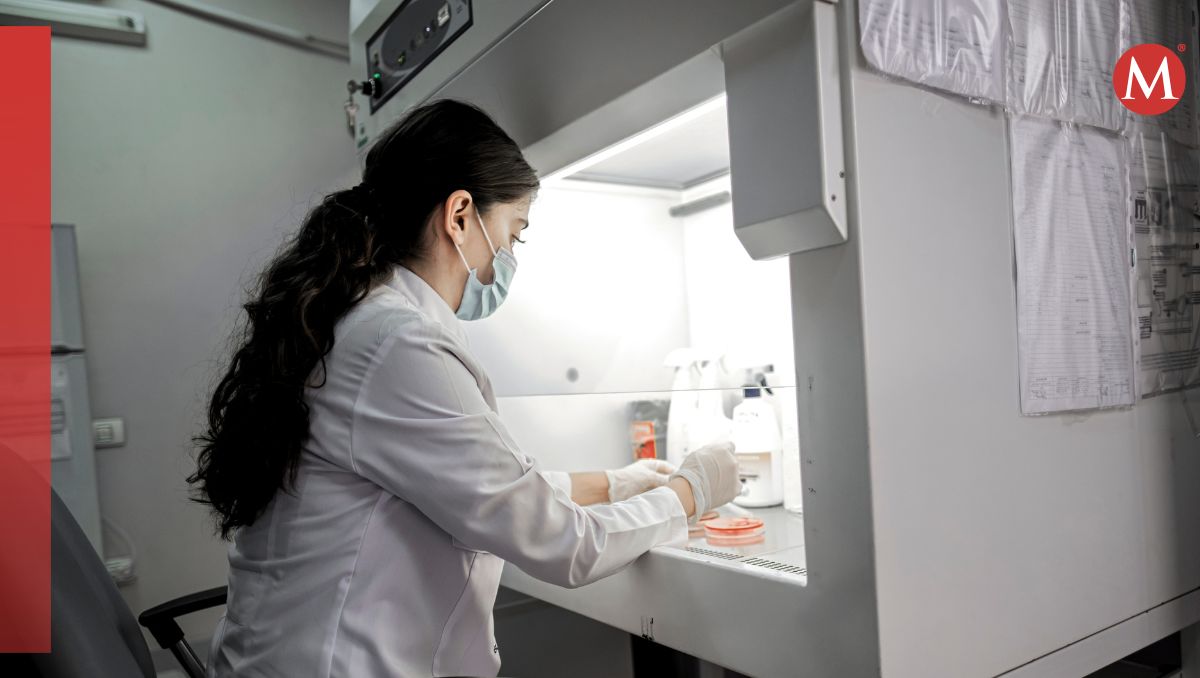 Día Internacional de la Mujer y la Niña en la Ciencia, una lucha más