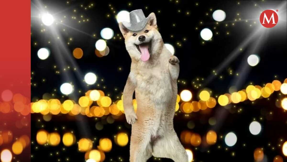 Mascotas bailando en el Super Bowl