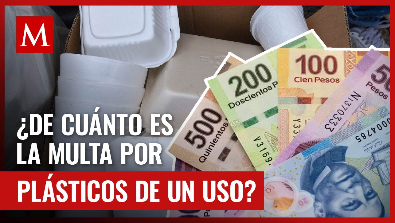 Estos son los plásticos de un uso por los que podrían multarte, así como el precio de la sanción