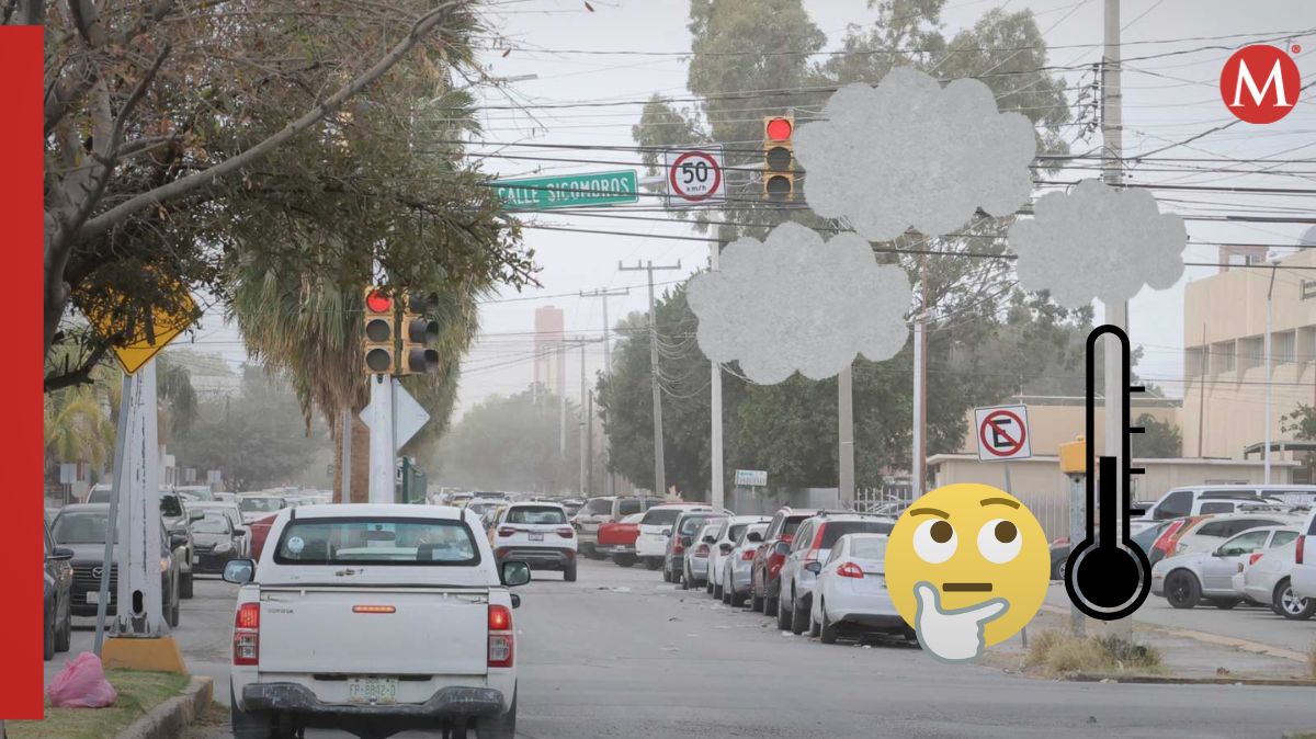 En Notivox te decimos el pronóstico del clima para este jueves 13 de febrero en La Laguna.| Verónica Rivera