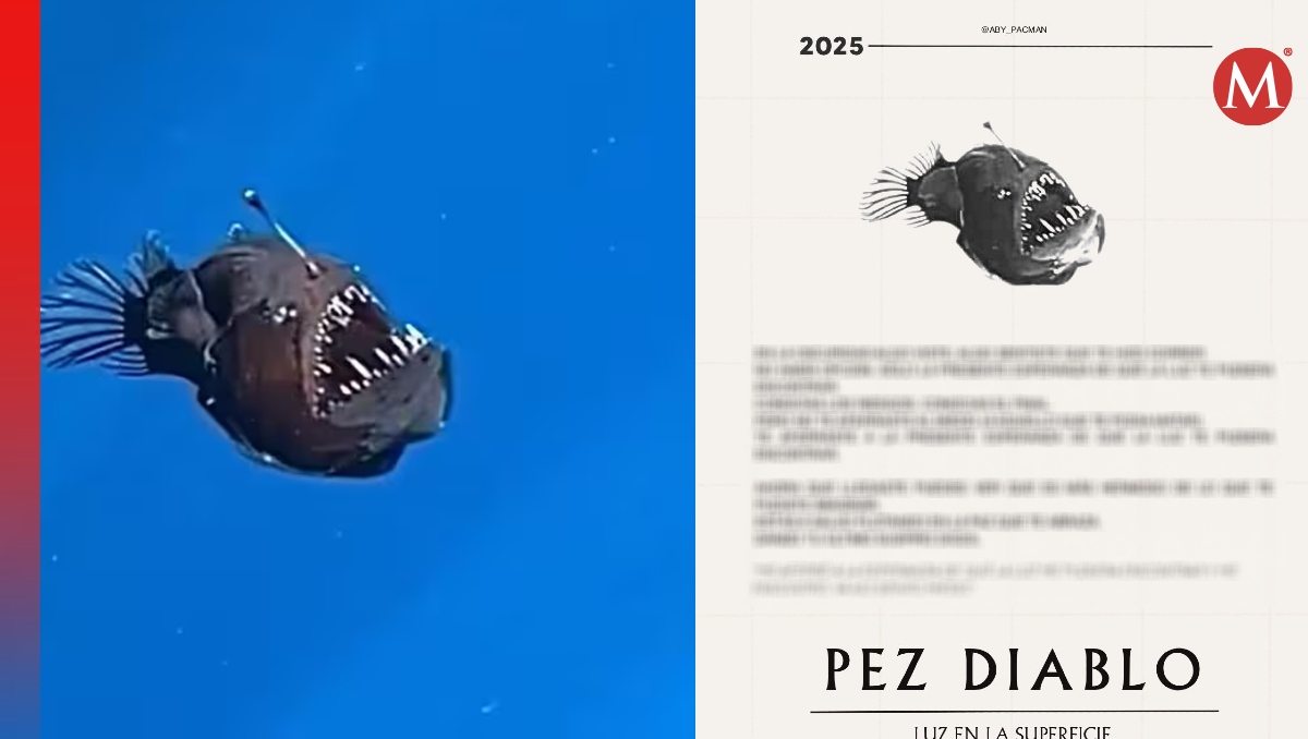 Dedican poemas a pez diablo que murió | Especial