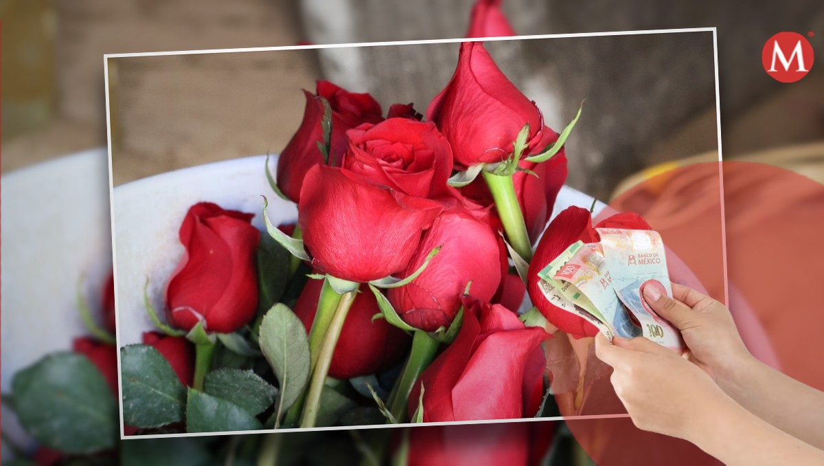 Precio de rosas en Tampico.