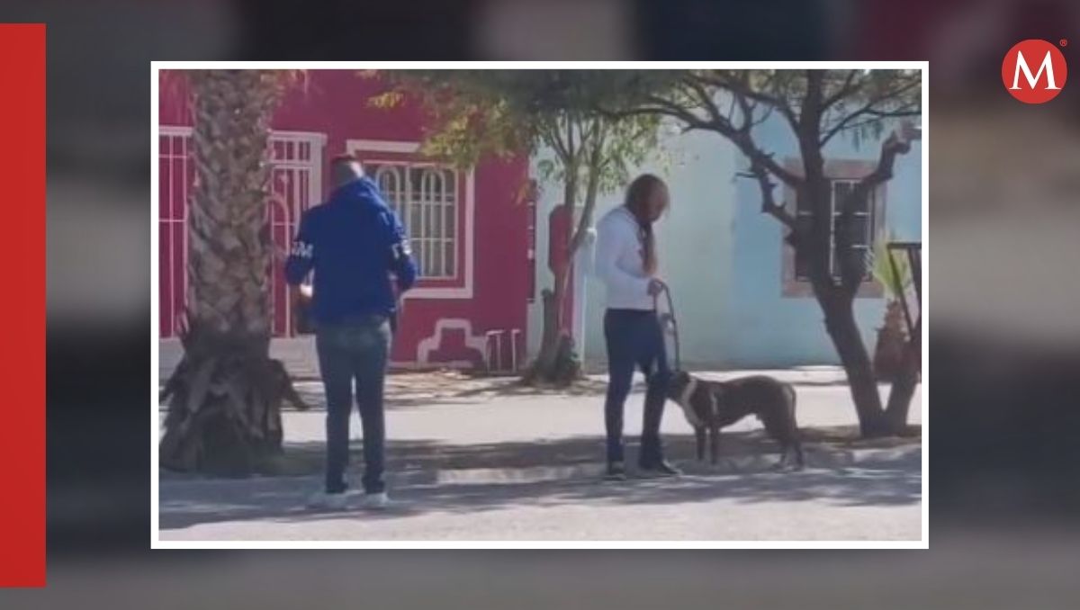 Usuarios de redes sociales reaccionaron con enojo y consternación ante la cruel escena. | Especial