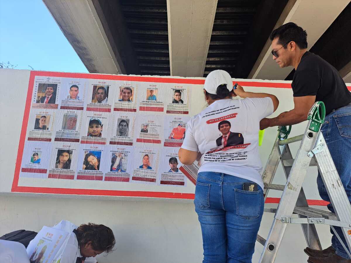 Colectivos denuncian eliminación de fichas de búsqueda en puente del Capricho | Especial