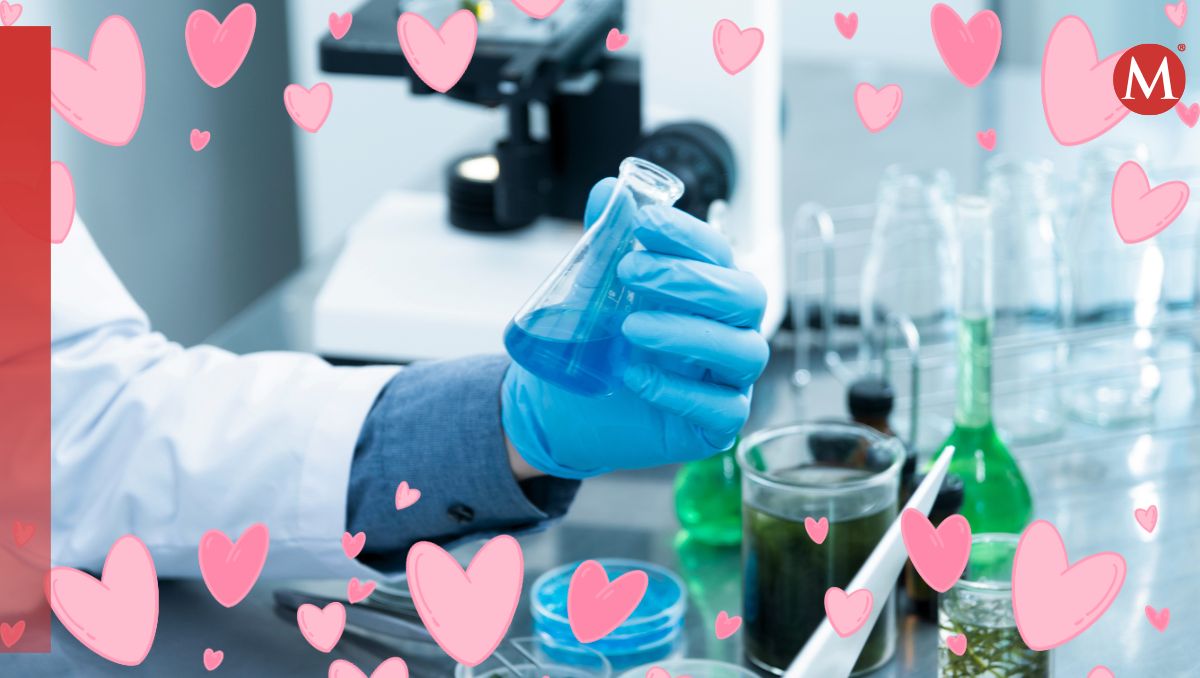 Qué pasa en el cuerpo humano cuando se enamora