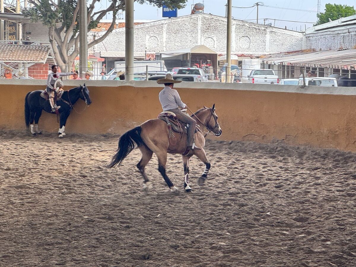 Actividades en el Lienzo Charro. (Usi Toledo)