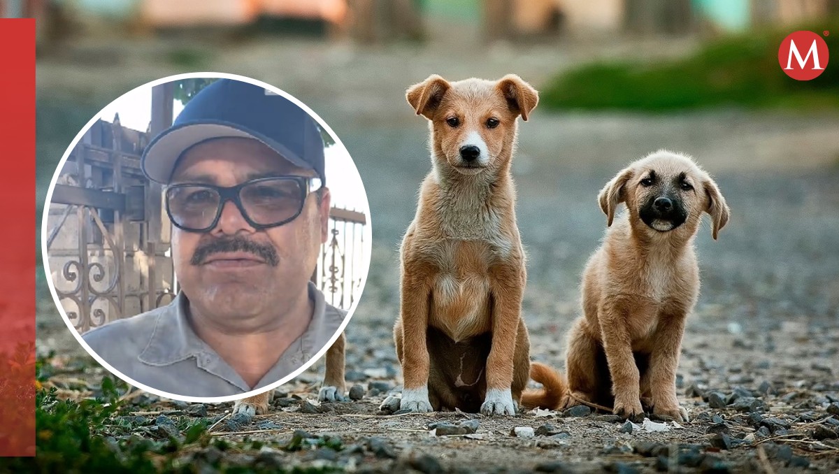 El afectado aseguró que lava dos veces por semana el espacio de los perros. | Especial