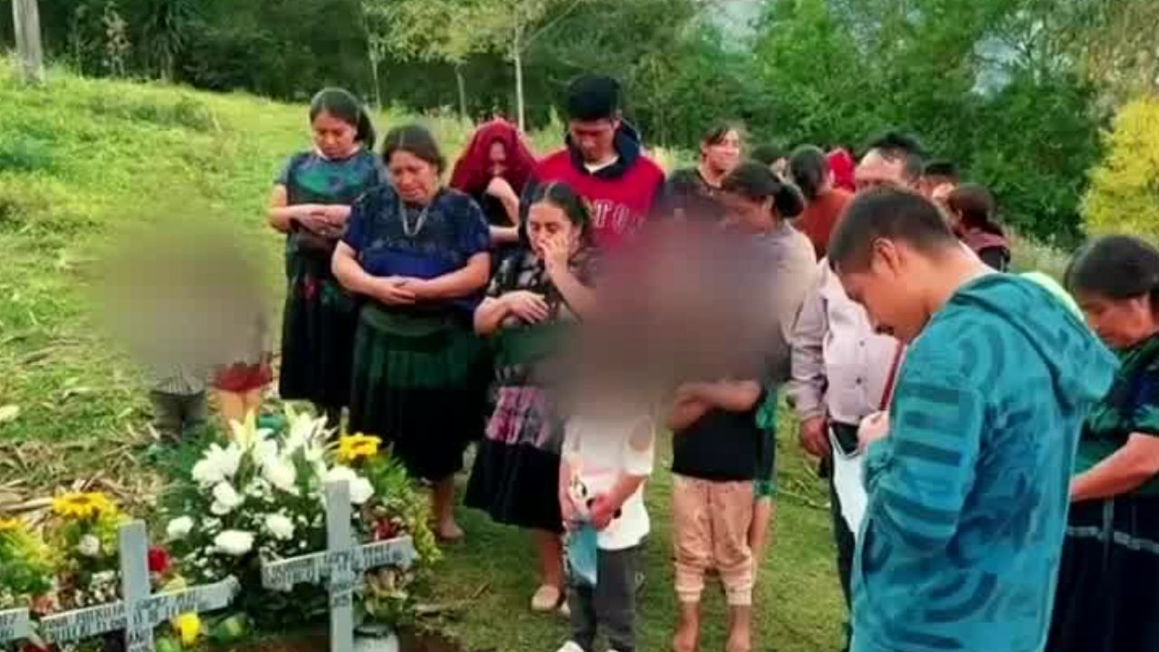 En Chiapas, piden poner fin a la matanza de perros callejeros tras la muerte de niños envenenados