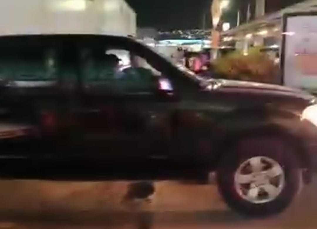 Conductor arrastra a lomito atado en la defensa de su camioneta en Tulancingo.