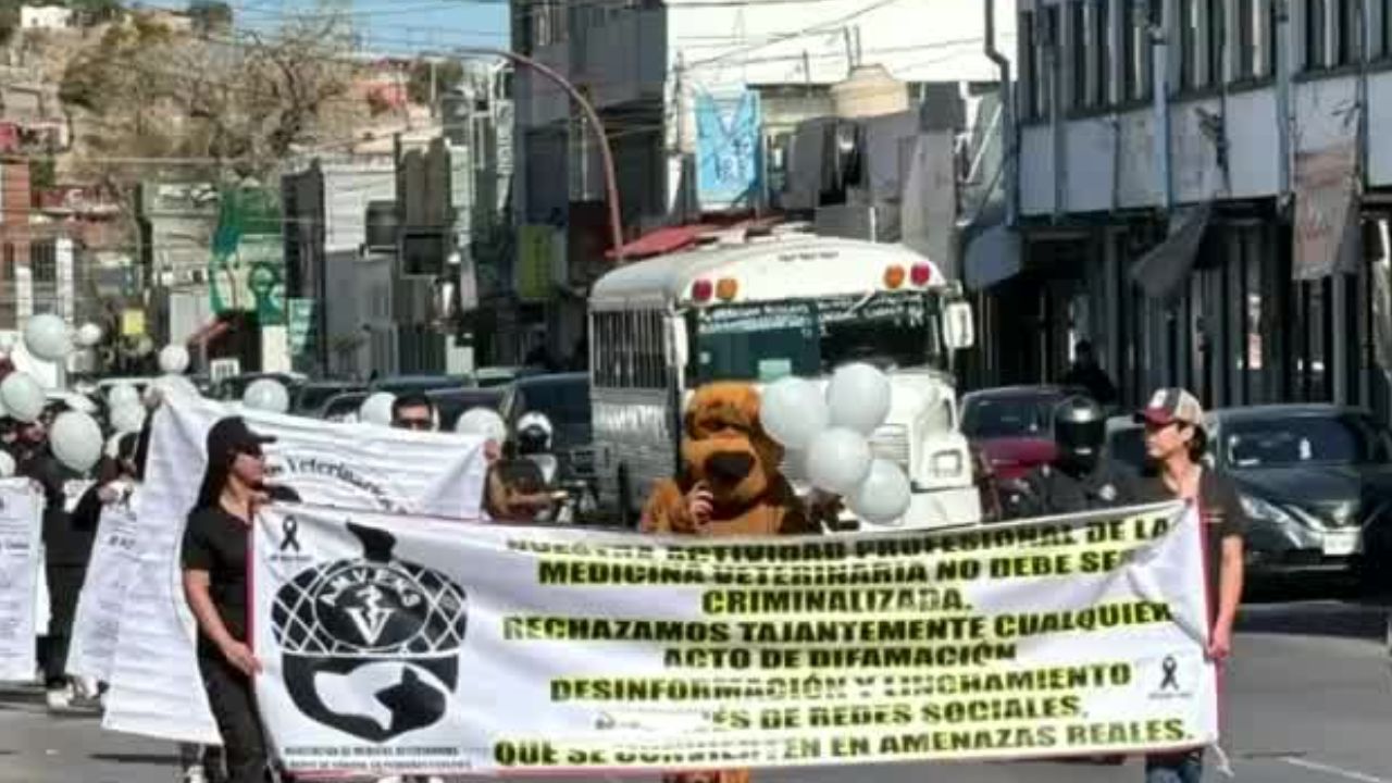 Médicos veterinarios marchan en Sonora, Nogales, por asesinato de Héctor Hernández