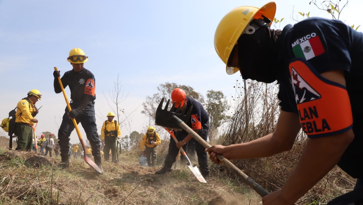 Previenen incendios con acción de brecha cortafuego en Puebla | Melanie Torres