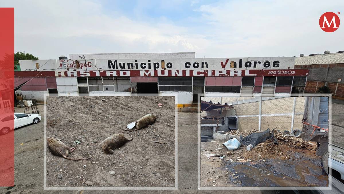 Suspenden operaciones en rastro municipal de Ecatepec, trabajaba con plagas de ratas y otros animales. | Fotos: Fernando Cruz