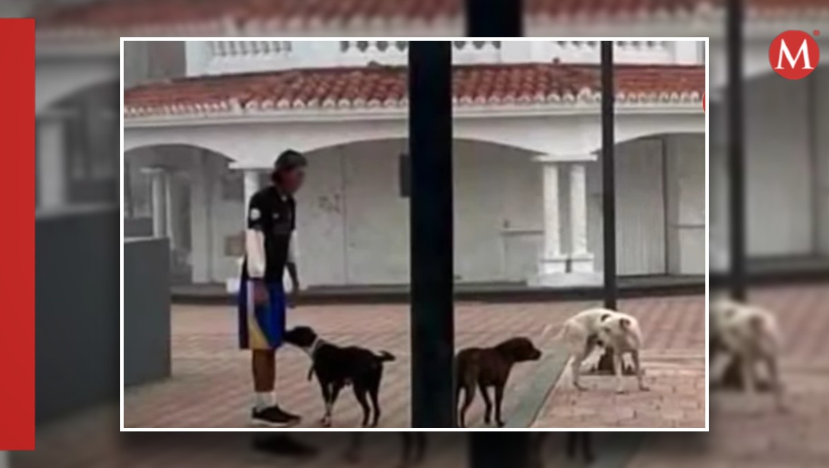 Vecinos denuncian que hombre suelta a sus perros para herir a otros animales en Tampico.