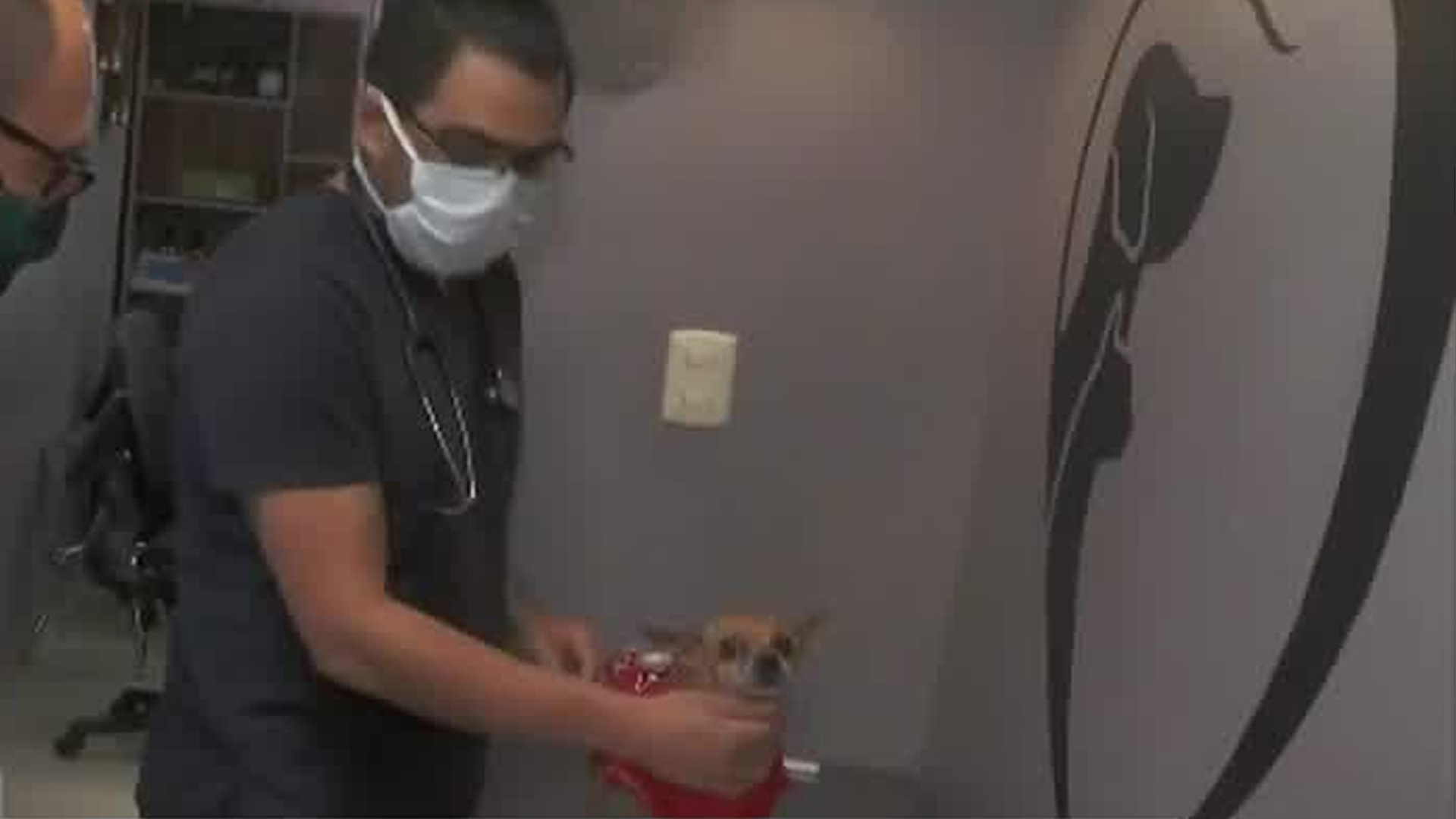 Veterinarios de Michoacán se movilizan por asesinato de Héctor Hernández