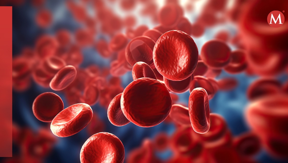 Control de infecciones en la sangre después de un trasplante
