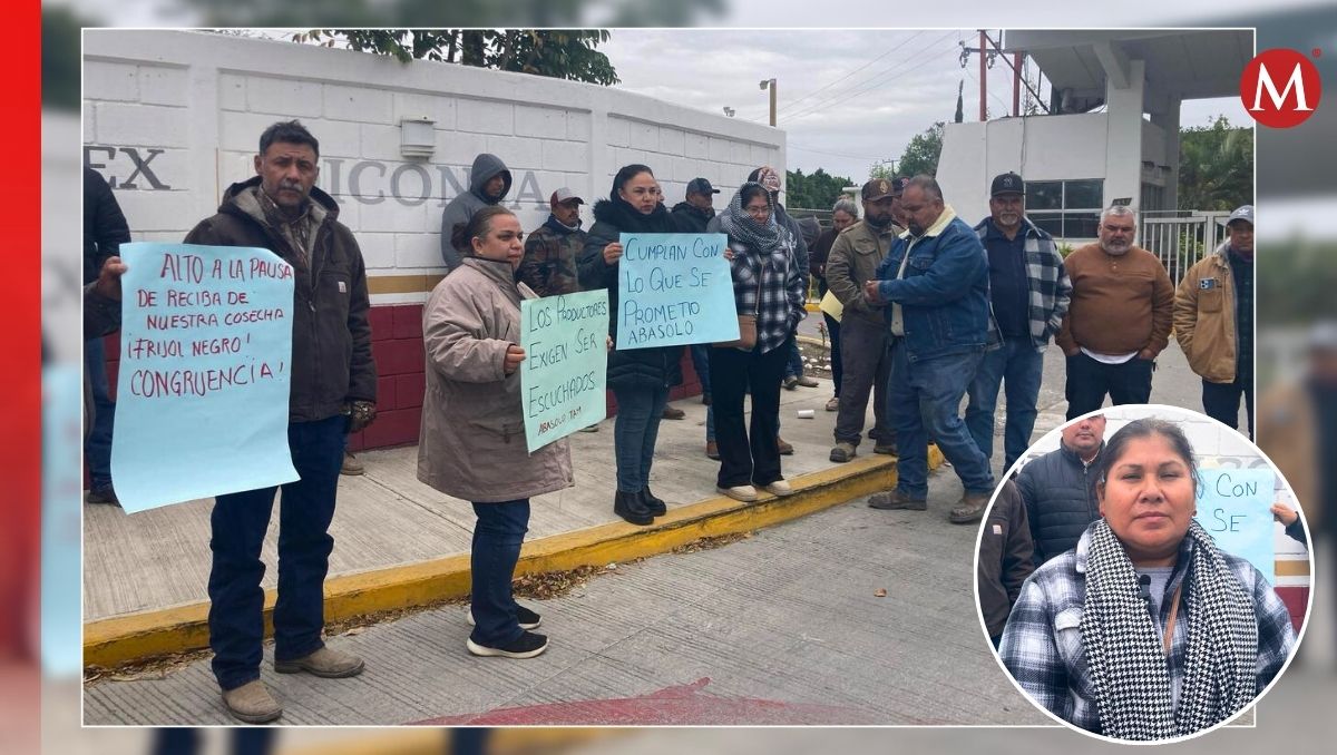 Los productores piden que cumplan con la compra de la cosecha. (Cortesía)