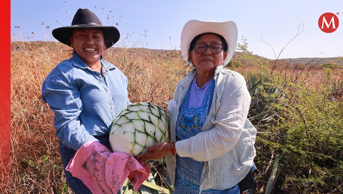 Nacen maestras mezcaleras en Puebla ante sueño americano | Andrés Lobato
