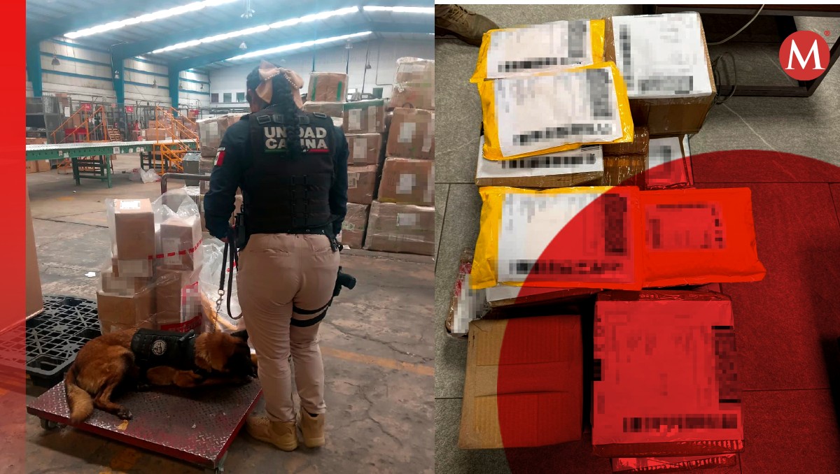Narcomenudeo en paqueterías y entregas, revelan modus operandi | Especial