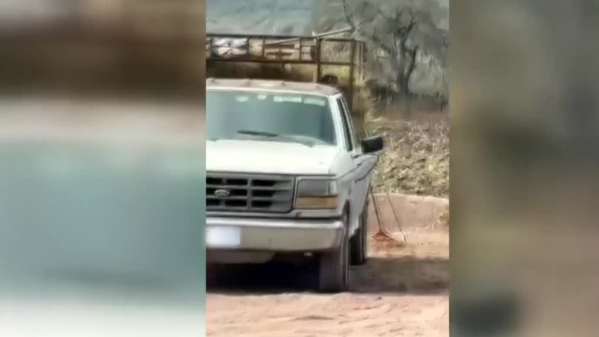 Se registra enfrentamiento armado en San Luis Potosí; posible relación con detención de criminal