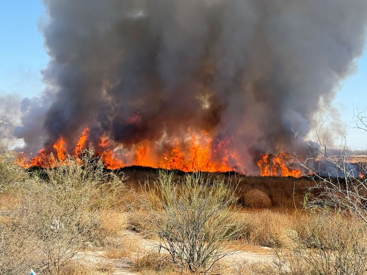 Cerca de las tres de la tarde, una densa nube de humo se levantó justo detrás del ejido San Luis cerca del Fraccionamiento Los Olivos.| Iván Sánchez