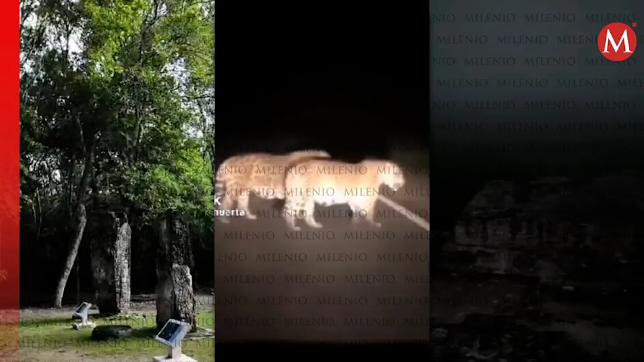 Funcionario, su familia e 'influencer' entran en horario prohibido a zona arqueológica de Calakmul