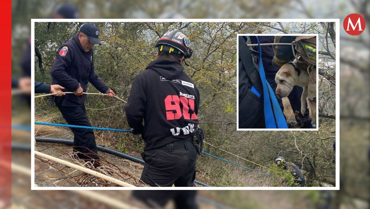 Rescatistas localizaron a Pasita al borde del precipicio. | Especial