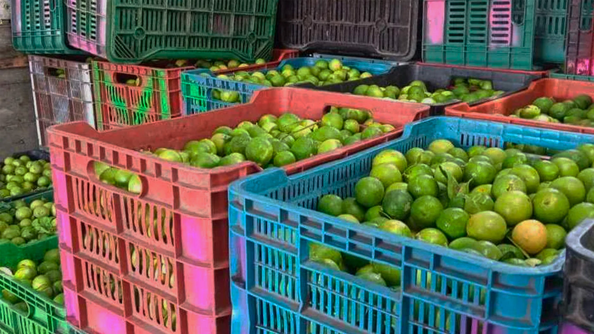 Situación del Tianguis Limonero en Michoacán