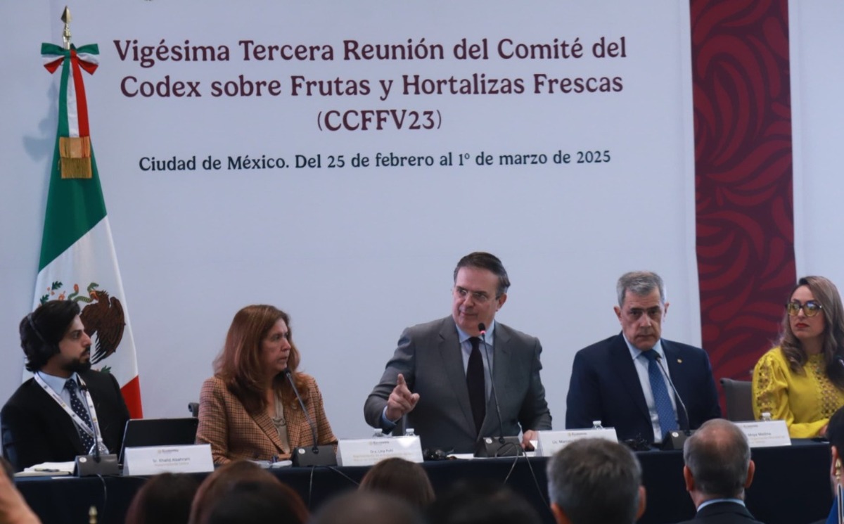 Ebrard durante la 23ª Sesión del Comité del Codex sobre Frutas y Hortalizas Frescas. | Foto: Juan Carlos Bautista