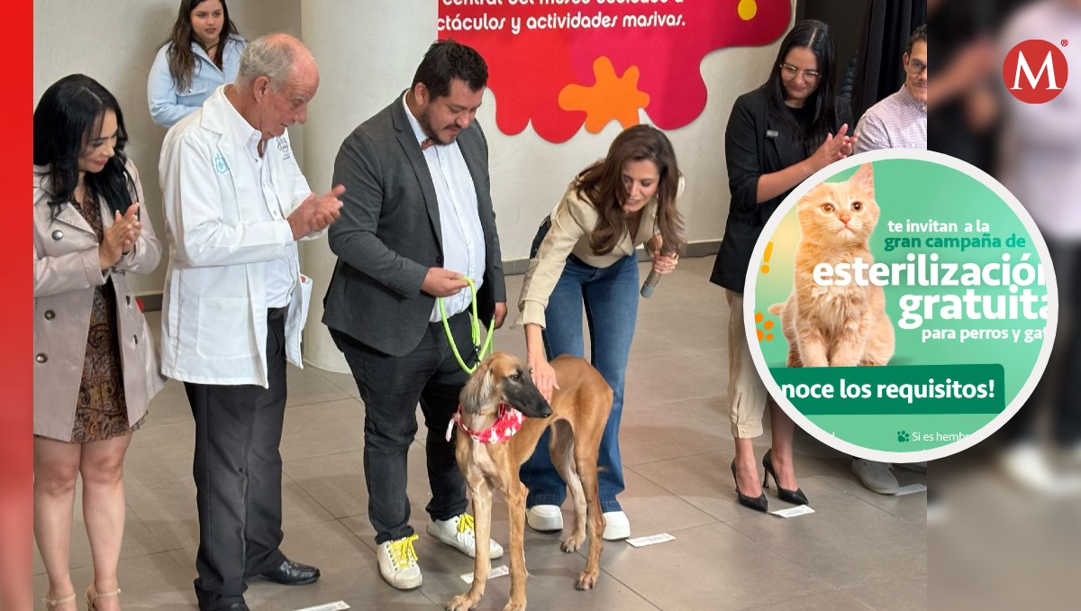 Guadalajara abre campaña de esterilización gratis; ¿qué requisitos hay y cómo agendar cita? (Fotos: X y Roberto Hurtado | Diseño: Milenio)