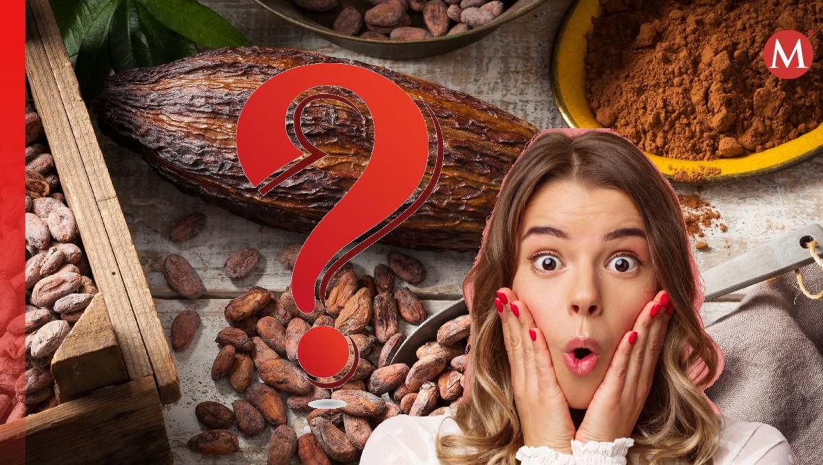 El cacao no es mexicano | Especial