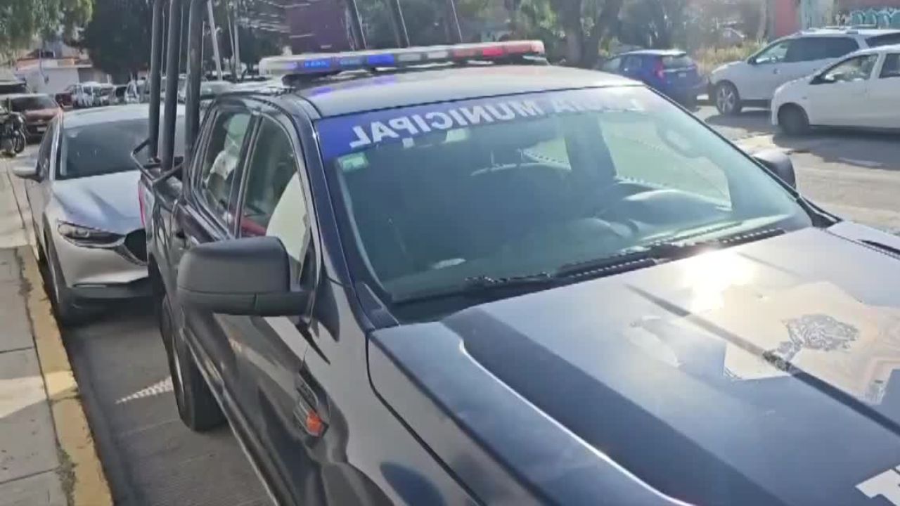Hallan en Tizayuca un cuerpo parcialmente devorado por perros