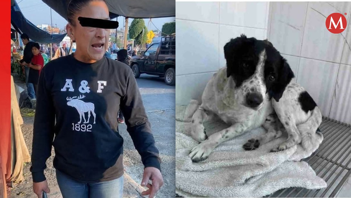 Crueldad animal en Michoacán: arrestan a mujer que hirió a un perro | Especial
