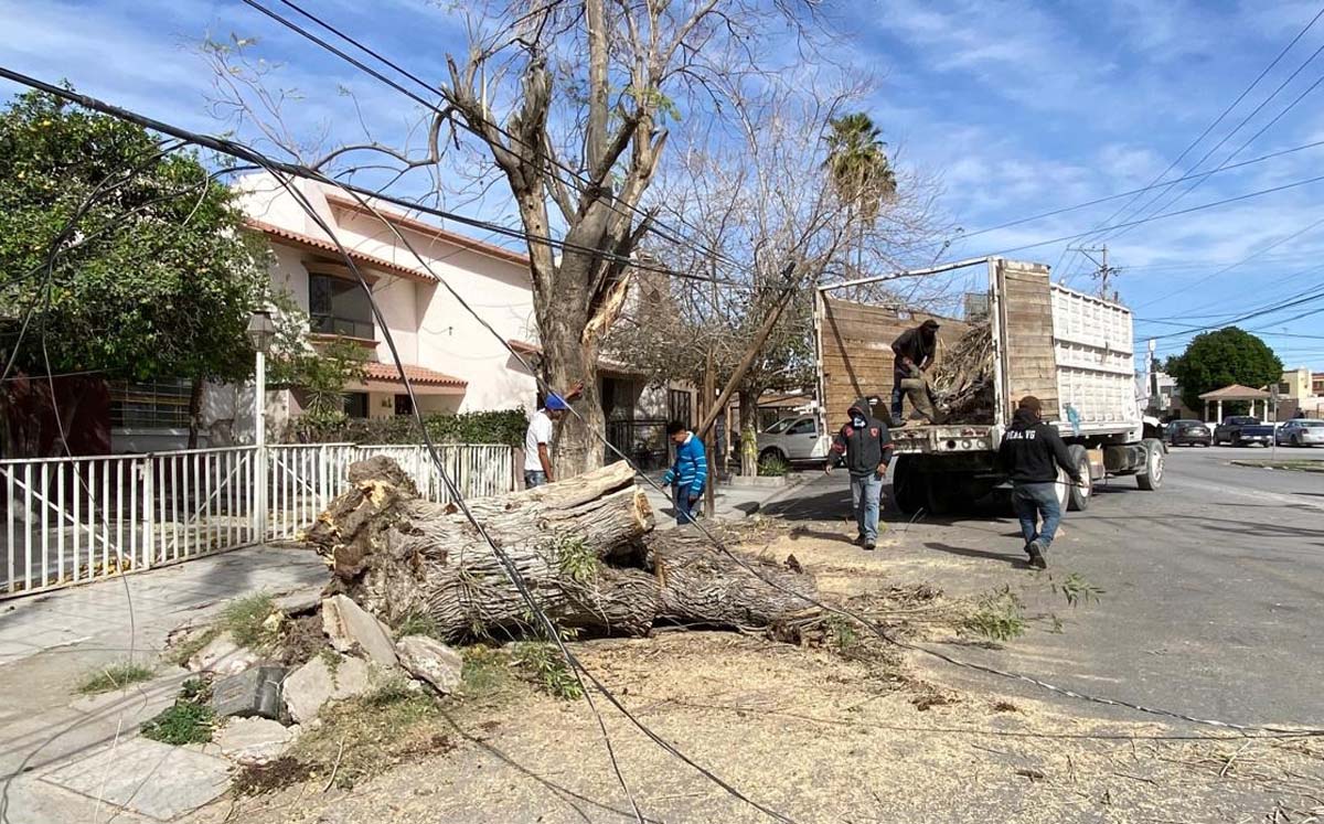 Protección Civil de los distintos municipios se encuentran trabajando para reparar las afectaciones. l Verónica Rivera