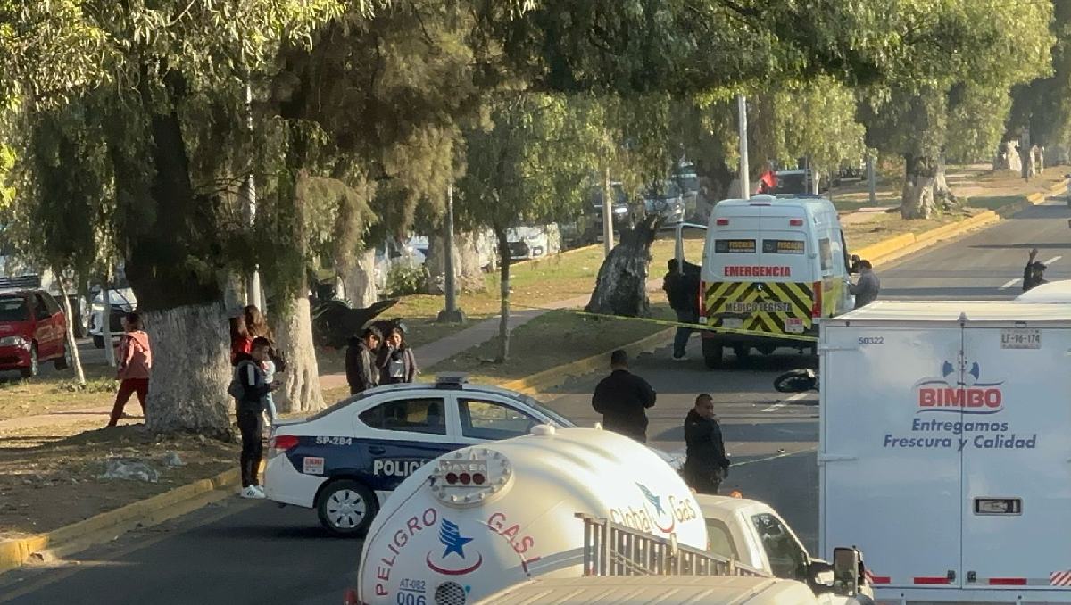Un tráiler embistió a un motociclista y un perro en la México-Texcoco. Foto: (Especial)