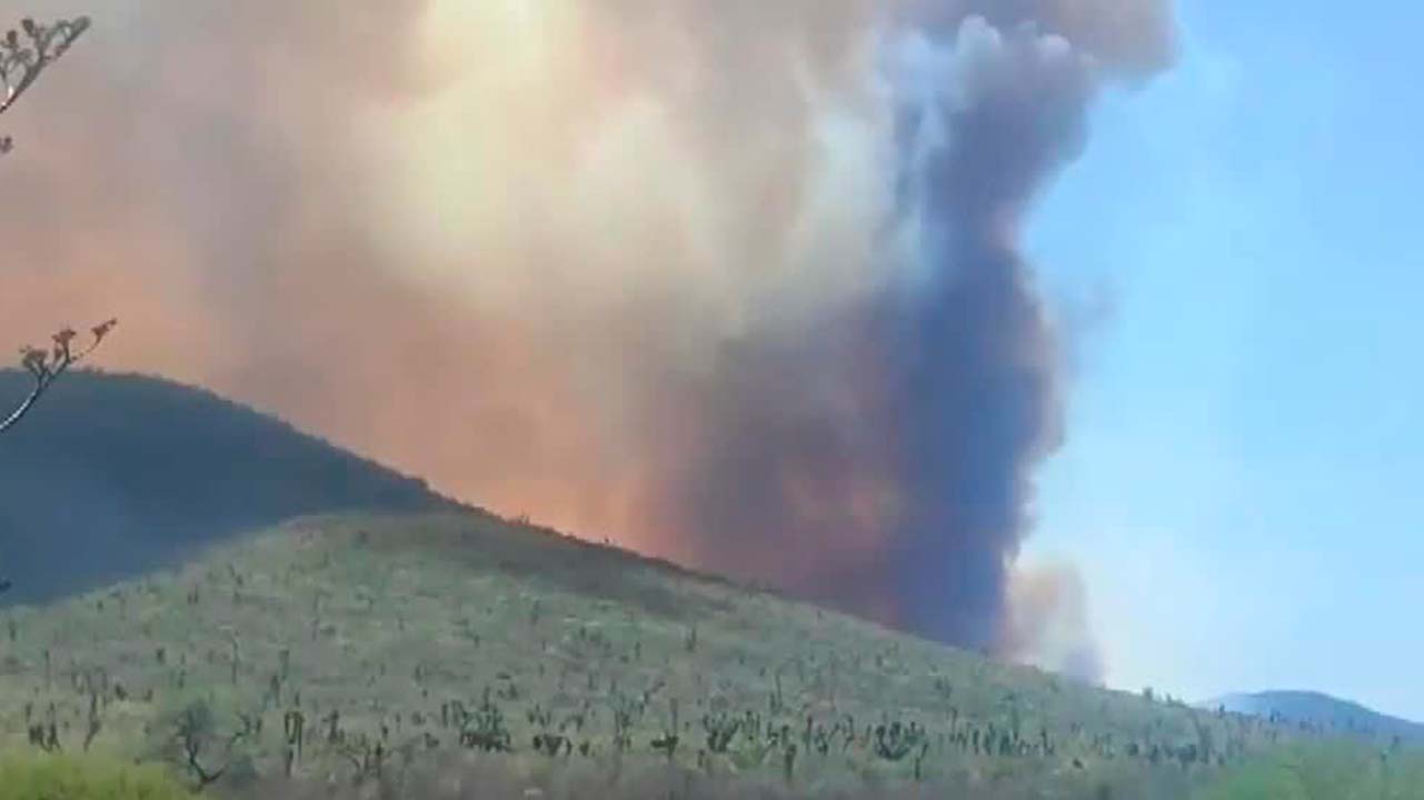 Conafor reporta 37 incendios forestales activos en 18 estados de México