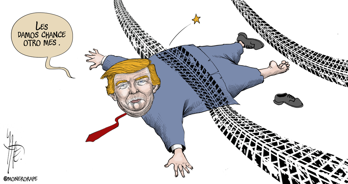 Atropellado