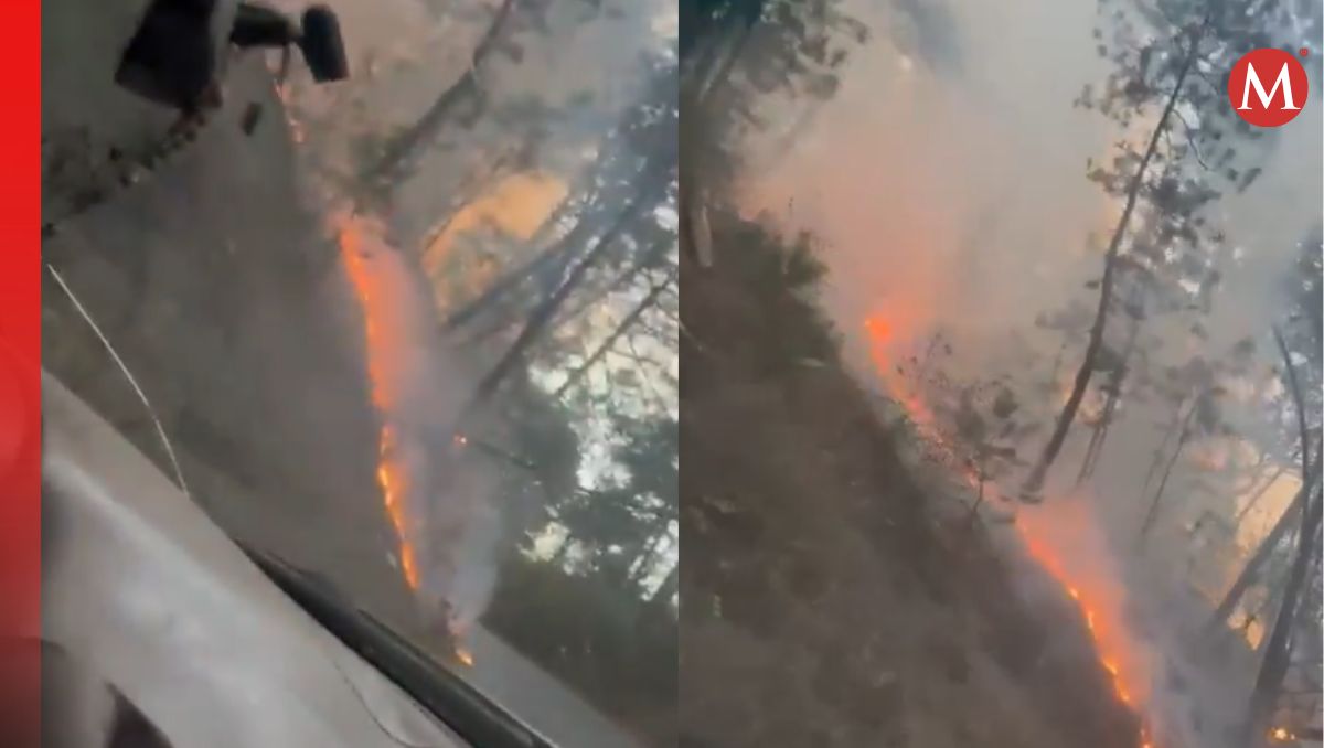 Se cuenta con el apoyo de una aeronave para mitigar el incendio más rápido | Especial