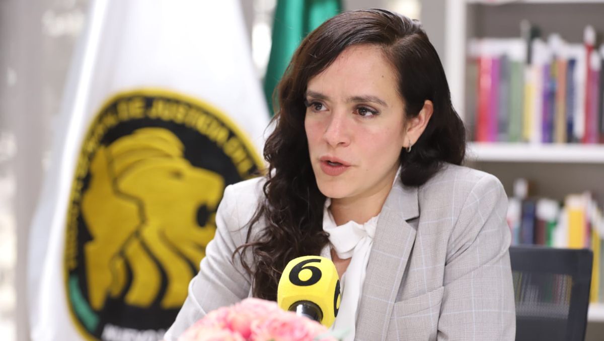 Griselda Núñez expuso que las penas son de hasta 4 años. Luis Guerra