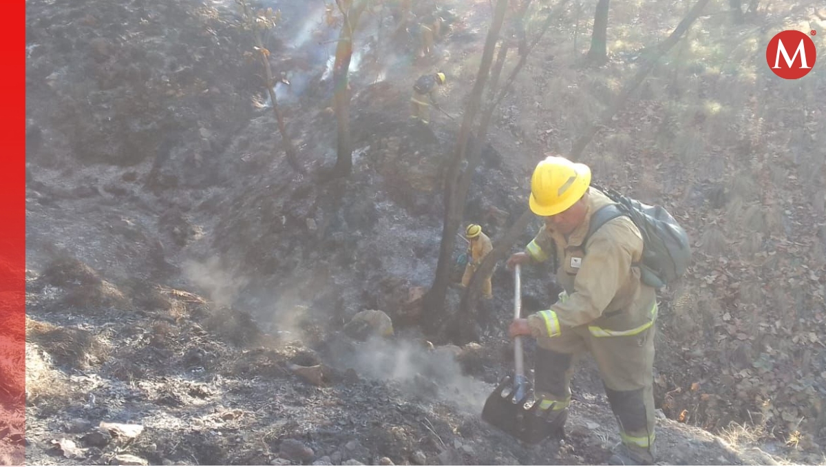 Más de 200 elementos se movilizaron para sofocar el incendio (Foto: Cortesía)