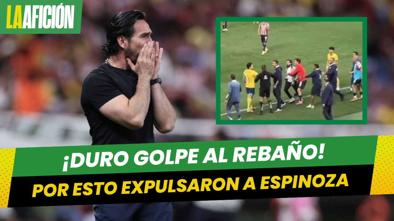 Gerardo Espinoza: VIDEO revela quién lanzó balonazo al DT de Chivas y que le costó la expulsión
