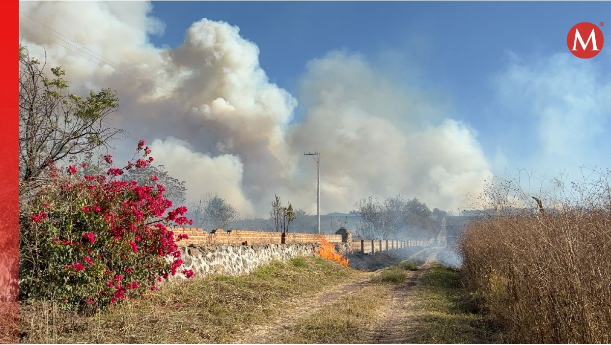 Nuevo incendio se registra en el Bosque de la Primavera, en el municipio de Zapopan (Foto: Fátima Briceño)