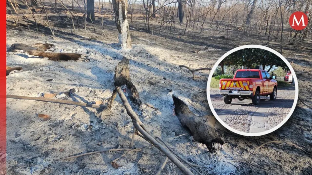 En Jalisco, autoridades controlan incendio en paraje Puerta de Guadalupe del bosque La Primavera