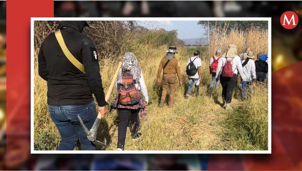 La CEAV ha confirmado que actualmente son 29 los colectivos que operan en la entidad, llevando a cabo labores de búsqueda en campo.