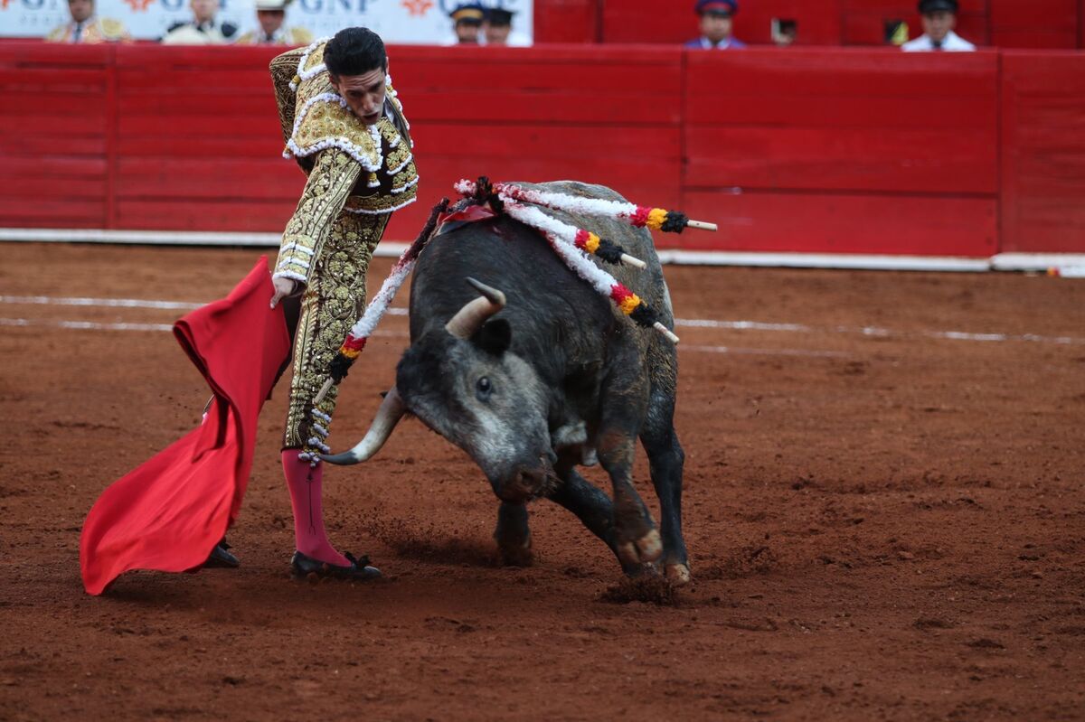 Pidieron a los colectivos tener diálogo y no violencia frente a la iniciativa. (Foto: Cuartoscuro)