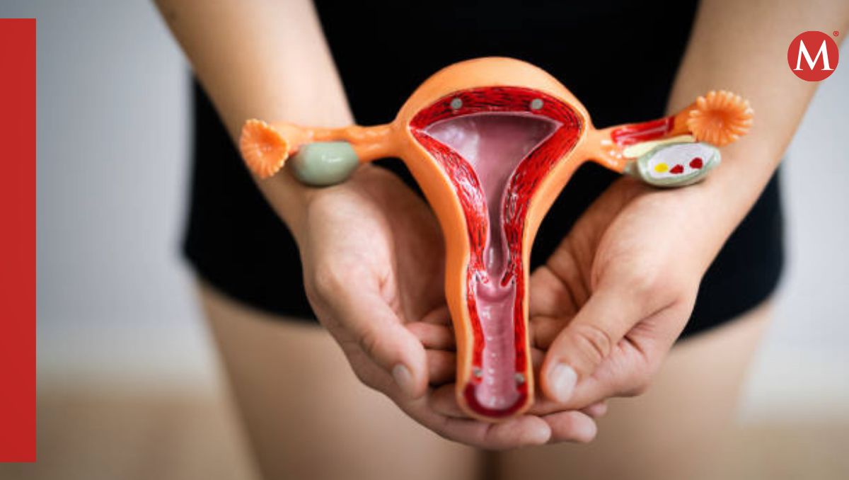 Podría  haber más casos de endometriosis de los que se han detectado |  Especial