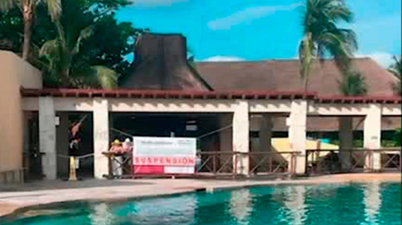 Profepa suspende actividades del delfinario Hotel Barceló de la Riviera Maya | Milenio Hábitat