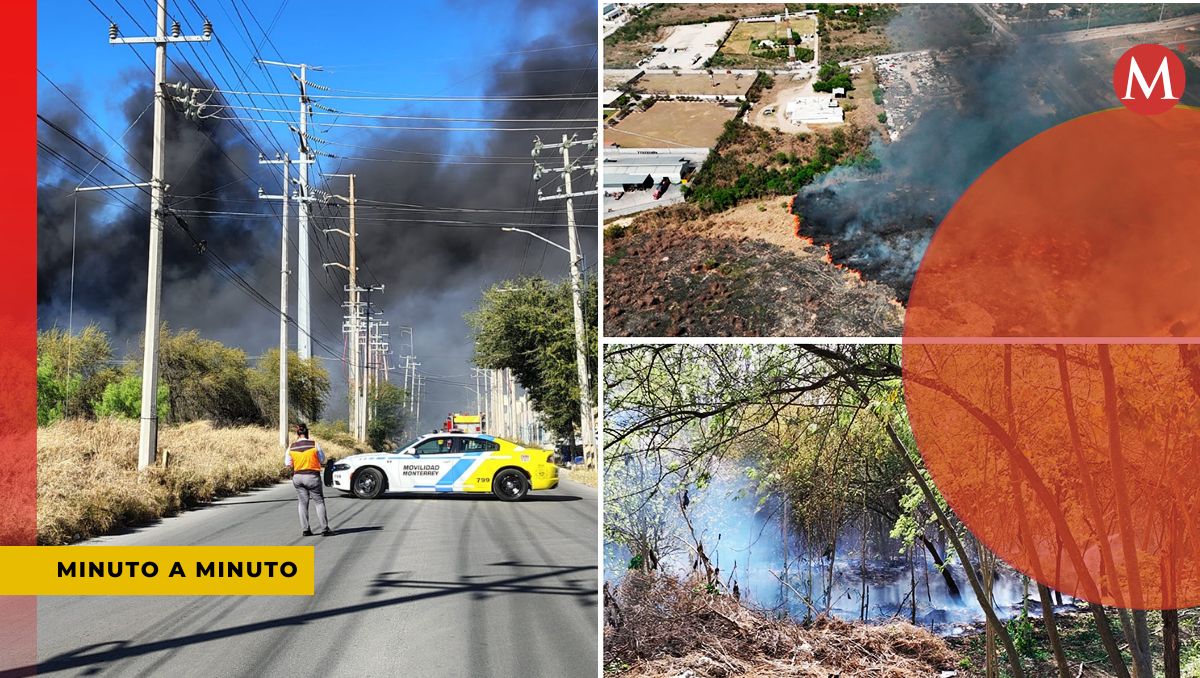 Incendios en Nuevo León 12 de marzo de 2025. / Israel Santacruz, Miranda Arias y Especial.