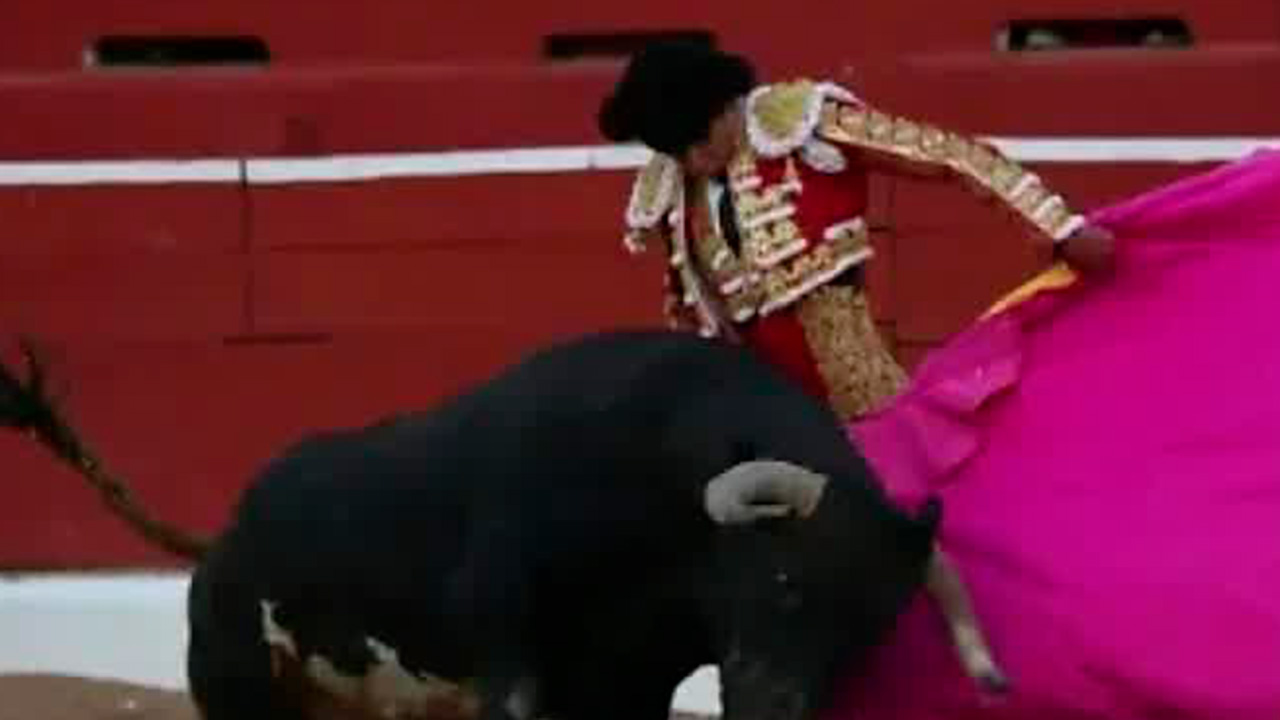 Clara Brugada propone corridas sin dañar a los animales