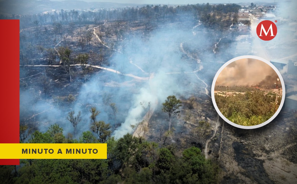 Incendio en bosque de Zapopan y alerta atmosférica hoy 13 de marzo (Fotos: X y Melissa Galván | Diseño: Milenio)