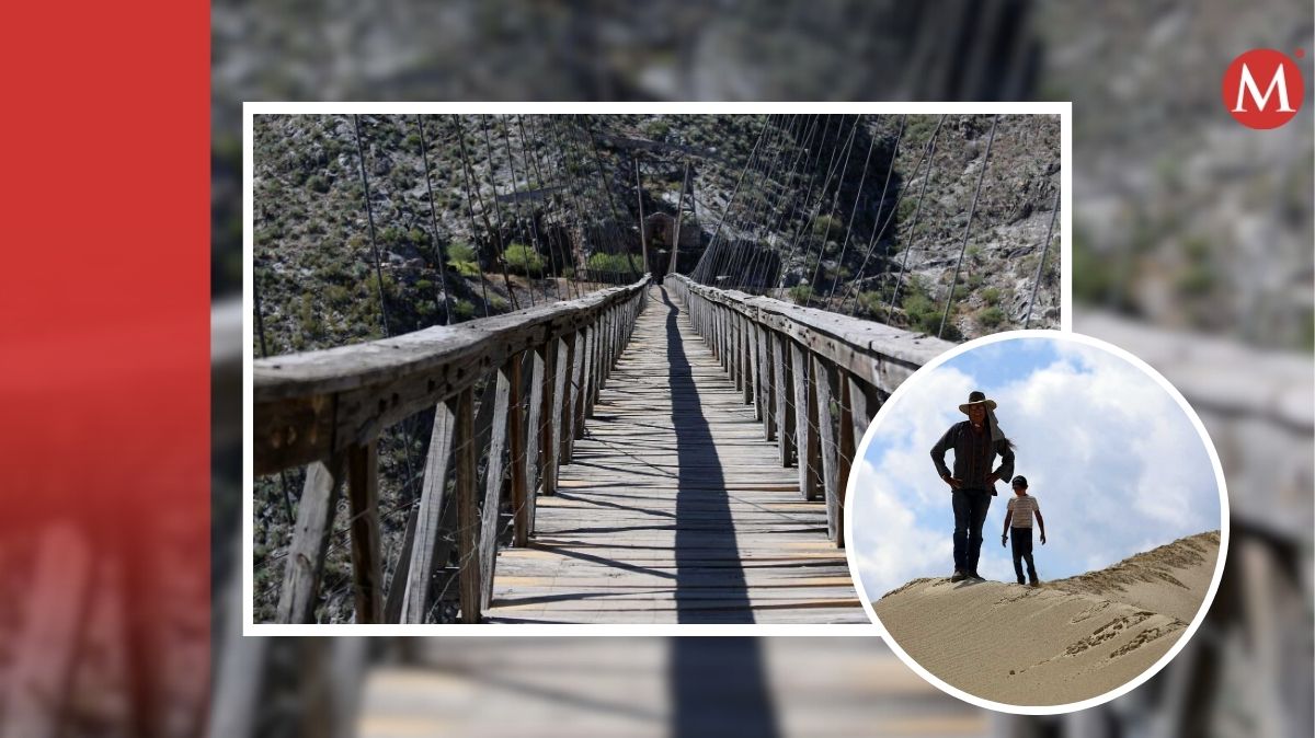 En MILENIO te compartimos opciones para disfrutar sin alejarse de La Laguna, o bien, eventos que habrá dentro de la misma ciudad.| Archivo